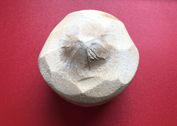 Image of Using a sharp knife remove any excess pith from the top of the fresh coconut, exposing the pointy top.