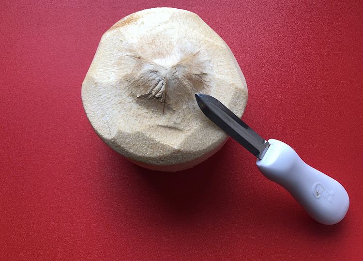 Image of Identify the edge of where you cleared away the pith, this is where you will make a hole using a sturdy oyster knife.