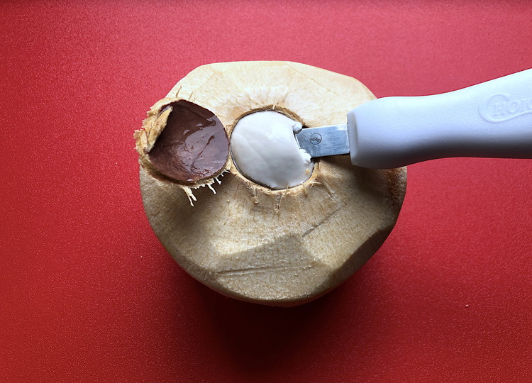 Image of Twist the knife and gently lift the point towards the center and you should be able to pop out a neat circle from the shell, it may take a few tries to get a hang of the motion.