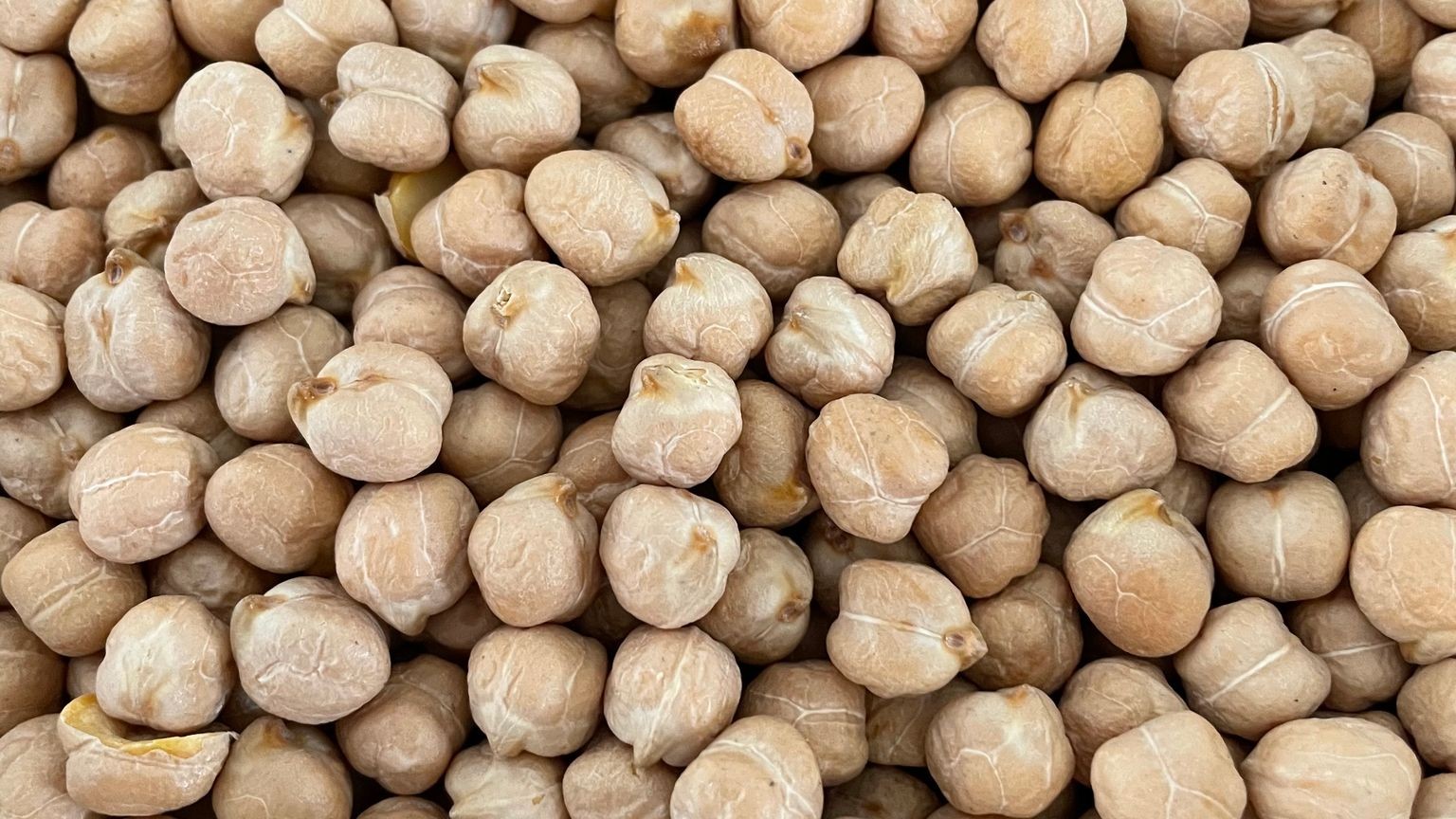 Image of Garbanzo Beans (Dry to Cooked)