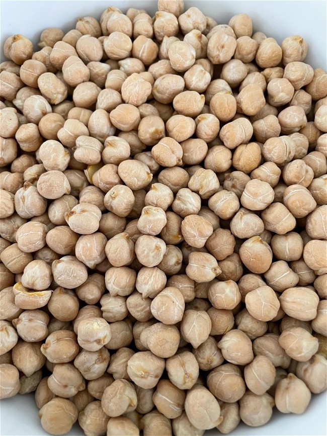 Image of Garbanzo Beans (Dry to Cooked)