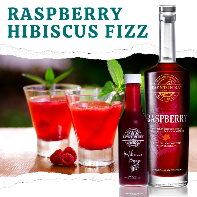 Image of Raspberry Hibiscus Fizz Recipe