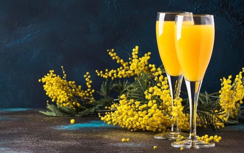 Classic Mimosa