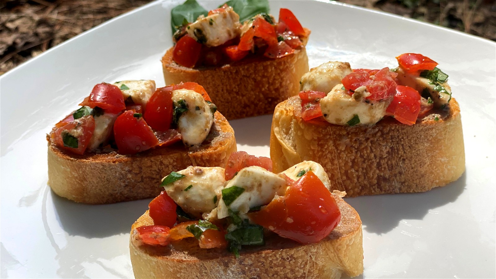 Image of Tomato Mozzarella Bruschetta with White Truffle Sauce