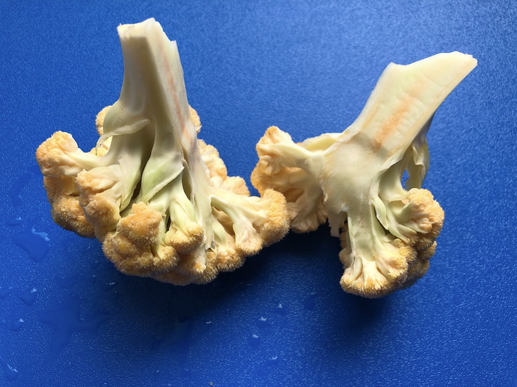 Image of You'll get a clean break without any crumbly bits of cauliflower.