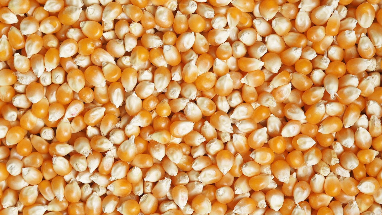 Image of Golden Oldie Popcorn