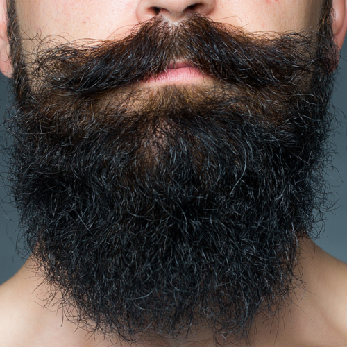 Image of Super easy jojoba beard oil
