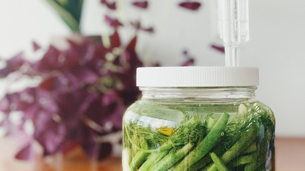 Recipe: Fermented Dilly Green Beans-image