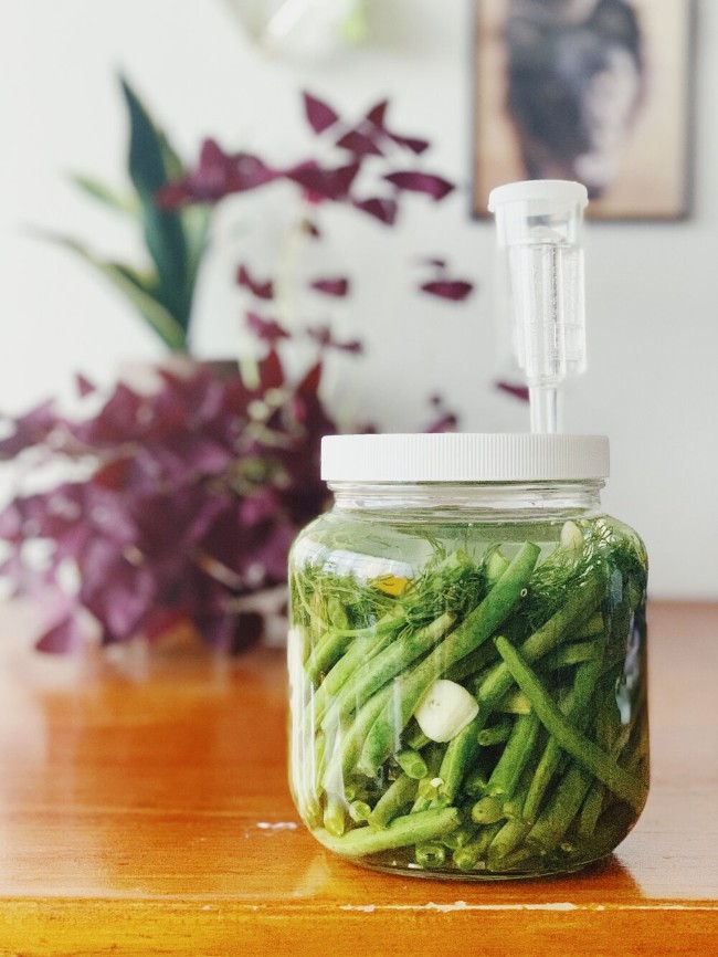 Image of Recipe: Fermented Dilly Green Beans