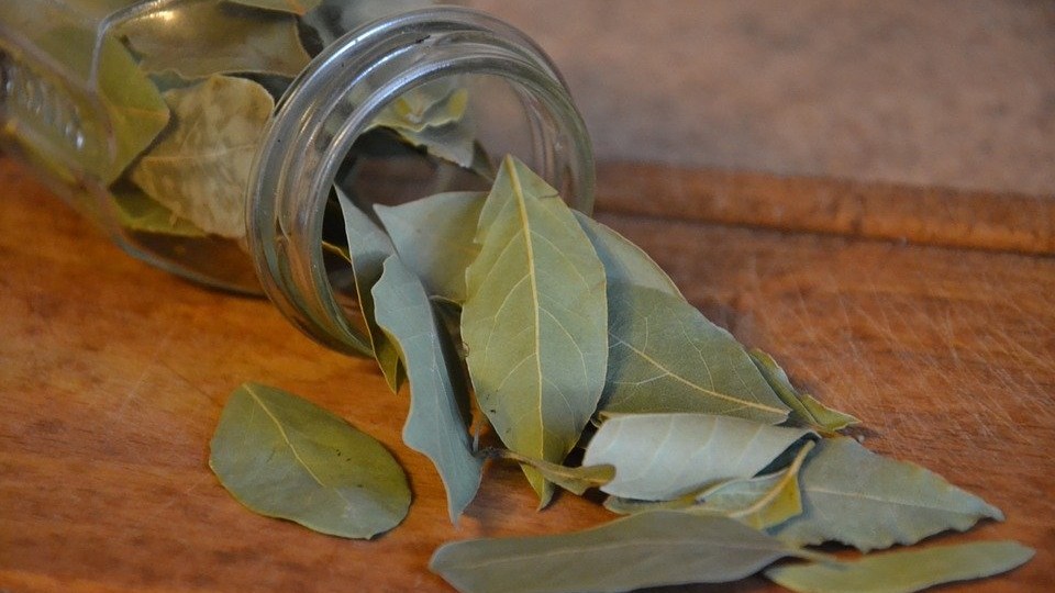 Image of Bay Leaf Tea