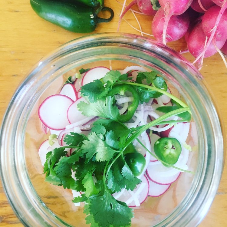 Image of Pack fermentation jar with radishes, onion, jalapeños and cilantro.