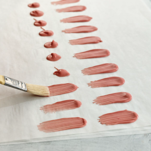 Brushstroke Technique with Chocolate Confectionery – ifiGOURMET Provisions