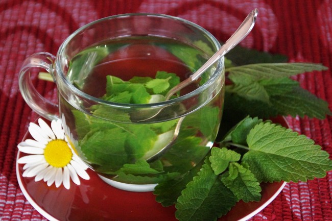 Image of Lemon Balm Tea For Styes