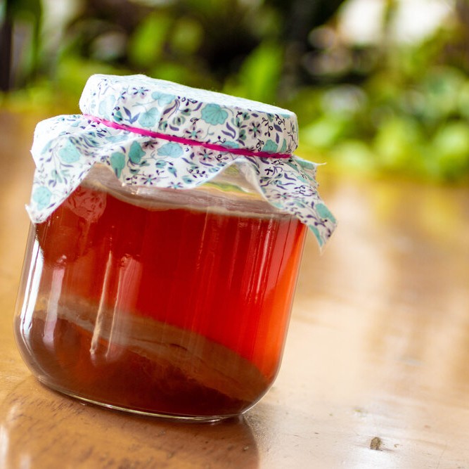 Recipe: Green Tea Kombucha — FarmSteady