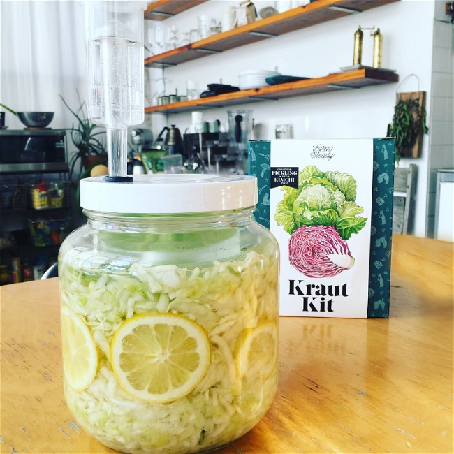 Image of Recipe: Fennel Lemon Mint Kraut