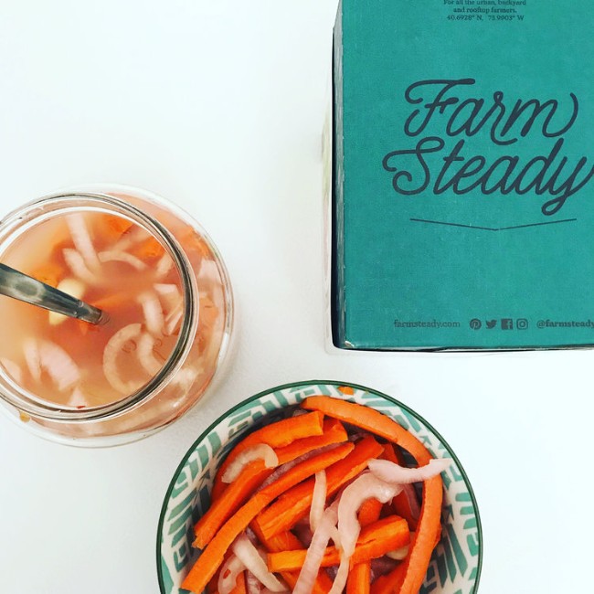 Image of Recipe: Lacto-Fermented Carrot Sticks
