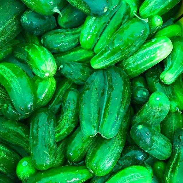 Image of Recipe: Classic Dill Pickles
