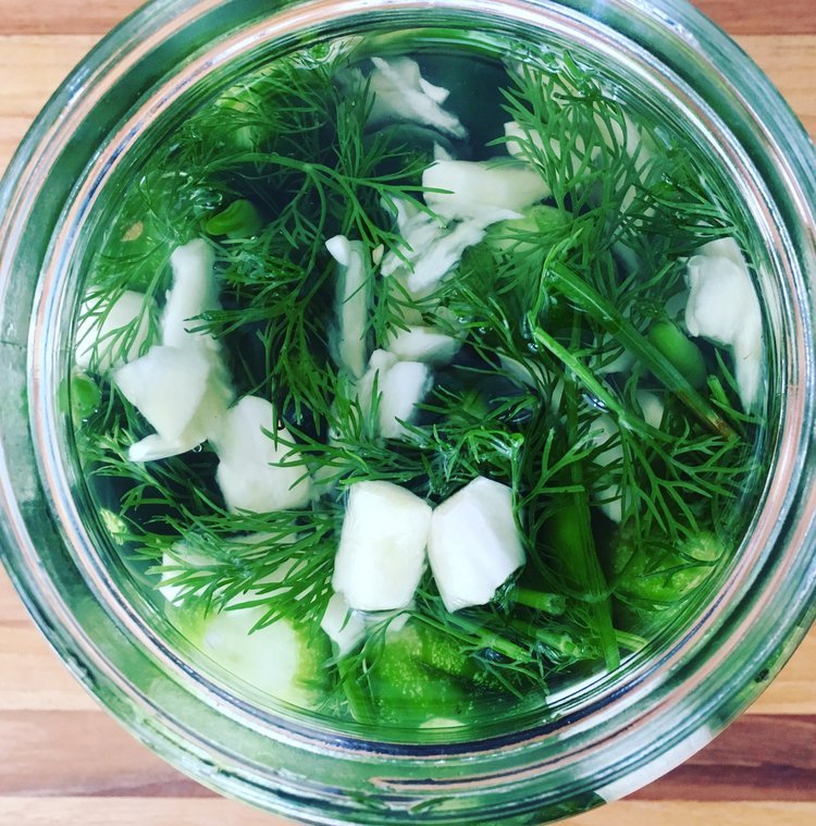 Image of Pack cucumbers, tea bag, dill, and garlic into fermentation jar....