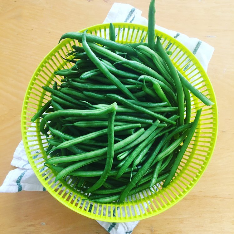 Image of Rinse and trim green beans.
