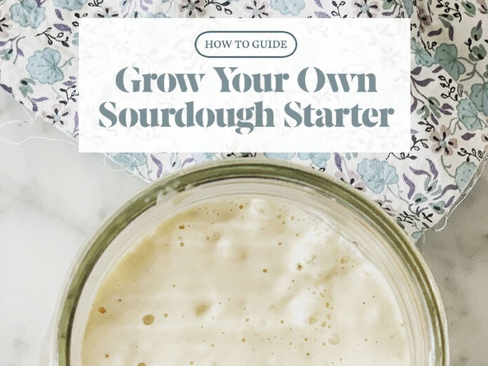 https://images.getrecipekit.com/20211026202817-guide_-how-to-grow-your-own-sourdough-starter.jpeg?aspect_ratio=4:3&quality=90