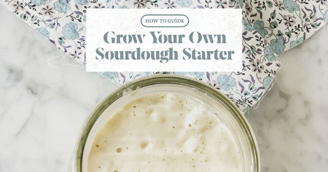 Image of How to Grow a Sourdough Starter from Scratch
