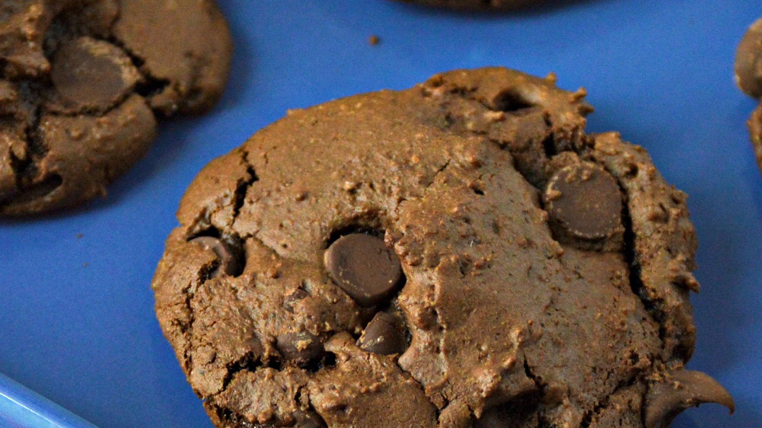 Image of Chocolate Hazelnut Cookies