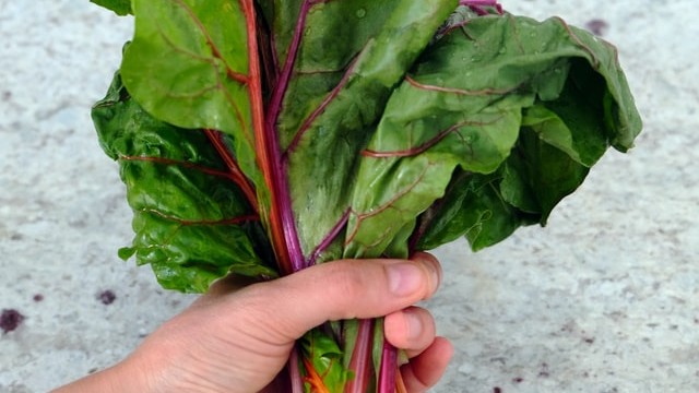 Image of Rainbow Chard & Feta Filo Pie