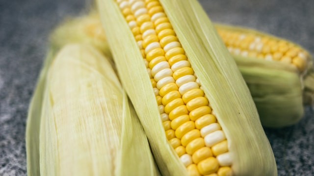 Image of Corn & Carrot Fritters