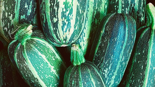 Image of Borani Kadoo - Afghani Zucchini Salad