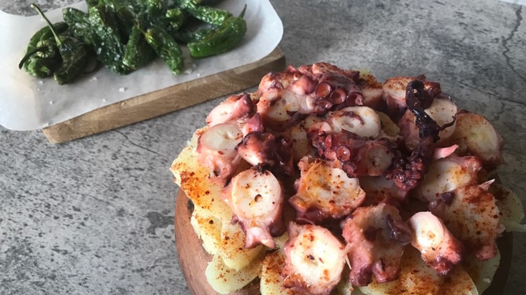 Image of Octopus
