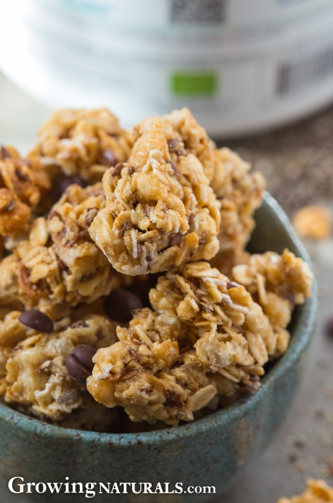 Image of Vanilla Chia Granola Clusters