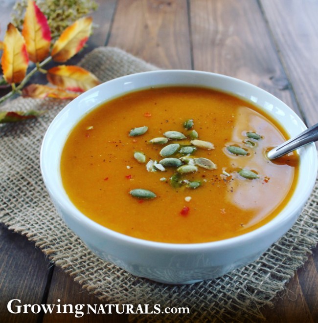 Image of Hearty Butternut Squash and Bean Soup