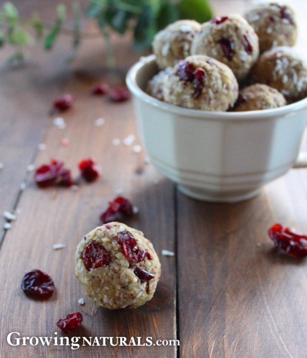 Image of Vegan Cranberry Vanilla Energy Bites