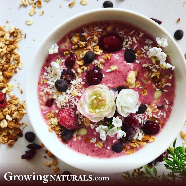 Image of Cranberry Coconut Smoothie Bowl