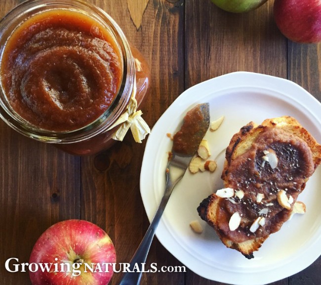 Image of Protein Powered Apple Butter