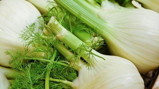 Image of Herby Fennel Salad With Citrus Dressing