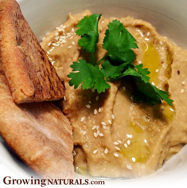 Image of Protein Powered Baba Ghanouj (Eggplant Dip)
