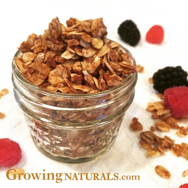 Image of Honey Coconut Almond Protein Granola