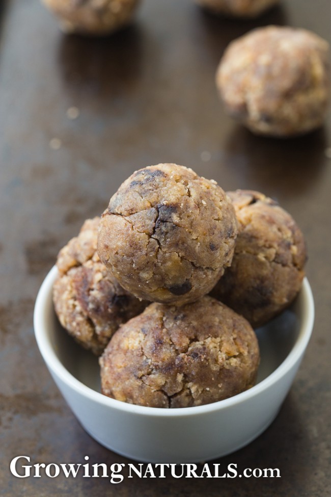 Image of Coconut Chocolate Chip Truffles