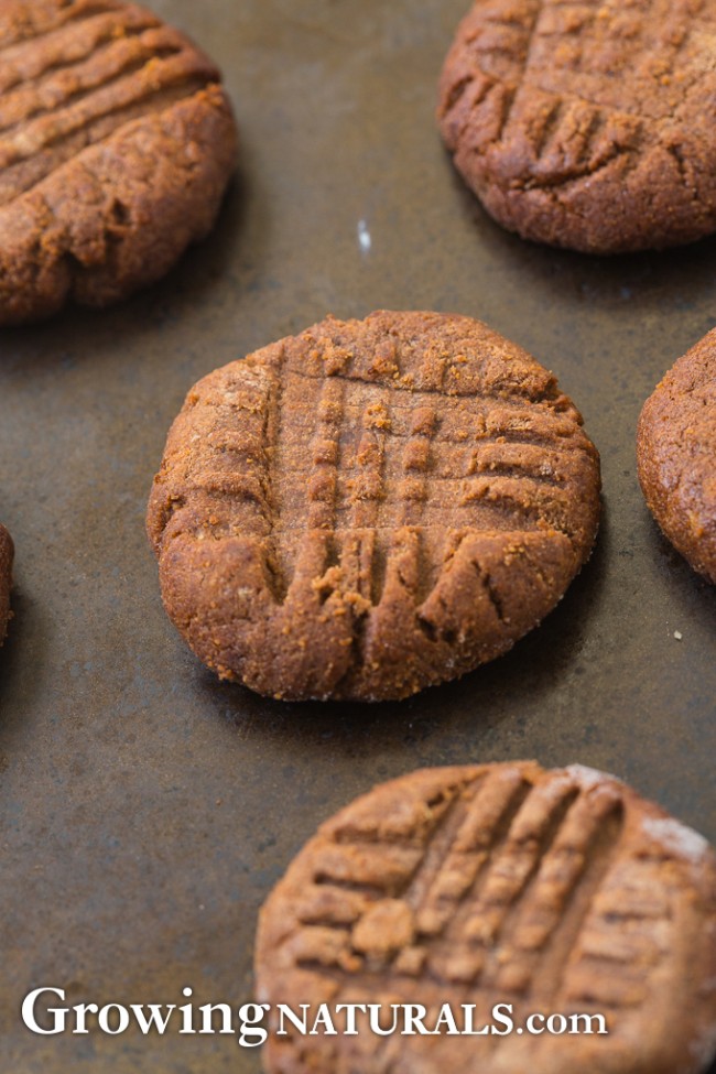 Image of Nutella Protein Cookies