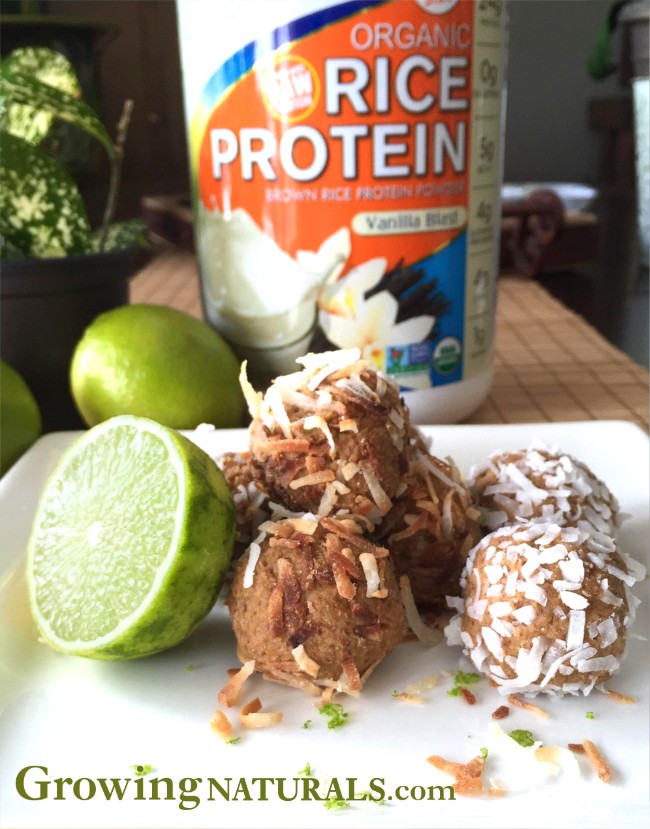 Image of Coconut Key Lime Protein Energy Bites