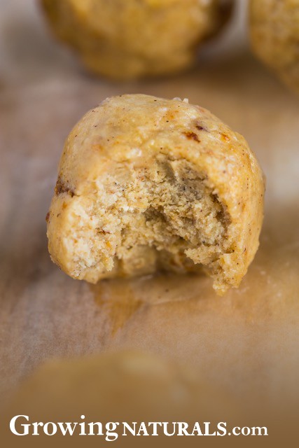 Image of Vanilla Gingerbread Protein Bites