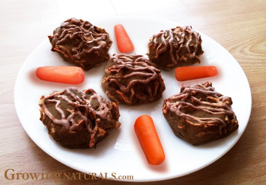 Image of Kaz’s Super Chocolate Peanut Butter Veggie Crisp Cookies