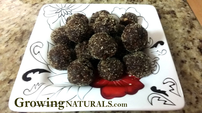 Chocobutter Protein Bites