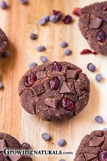 Image of Black Forest Protein Cookies