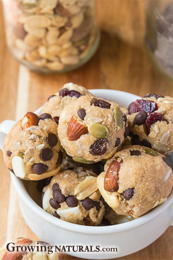 No Bake Trail Mix Protein Bites