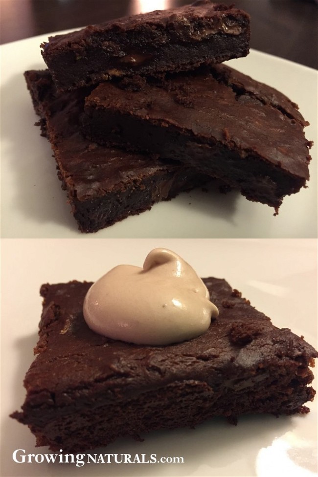 Image of Plant Powered Double Chocolate Brownies