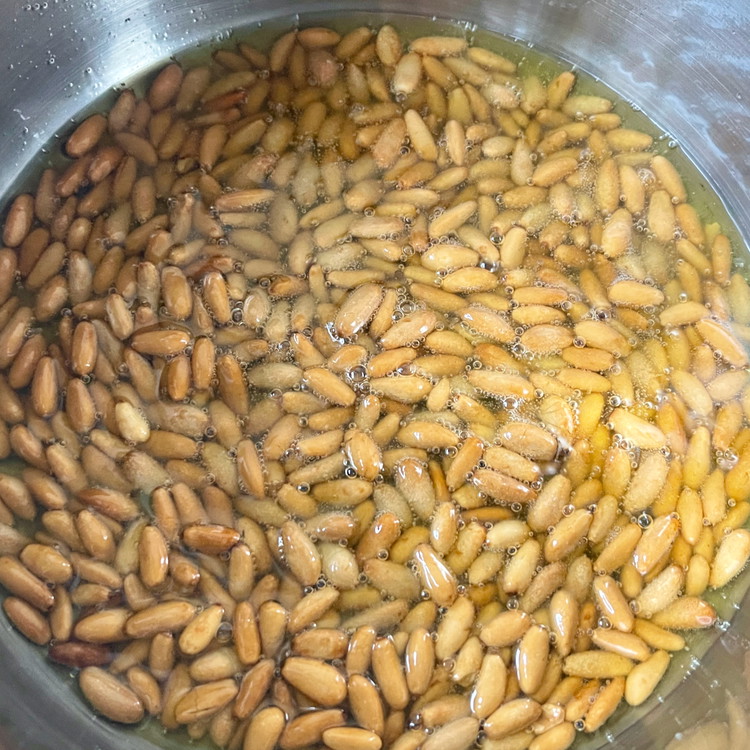 Image of Cook the pine nuts until they are golden brown and the oil starts to bubble - about 5 minutes. Continue cooking, stirring constantly, until the pine nuts are a rich brown color - but not black - another 3 to...