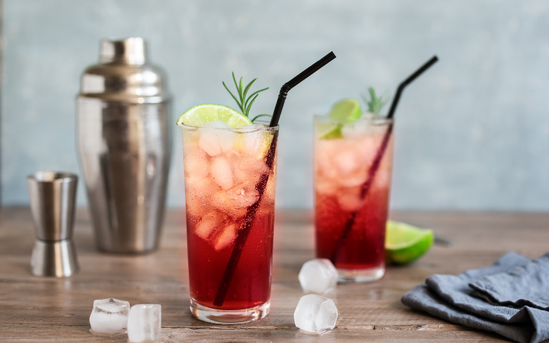Sloe Gin Fizz