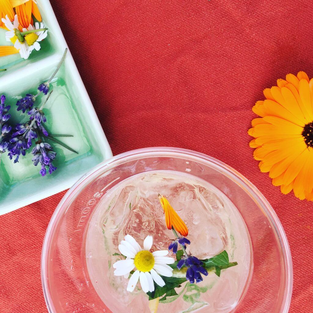 Elderflower Soda